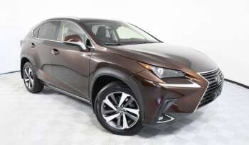 Lexus 2019